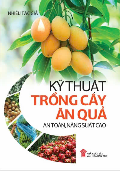 Kỹ thuật trồng cây ăn quả an toàn, năng suất cao